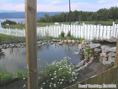 Construction d'un jardin d'eau / Plan d'aménagement - Comment réussir son bassin extérieur