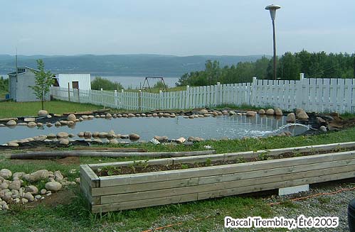 Bordure du bassin d'eau - Construction d'un étang - Faire un Jardin d'eau
