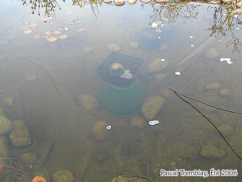 Système antigel bassin extérieur - Construction étang - Koïs et poissons l'hiver
