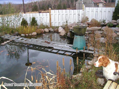 Système antigel pour jardin d'eau - Pond De-icer - Hivernation des poissons