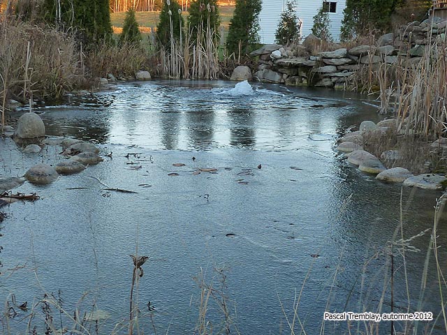 Système antigel bassin - Pond de-icer - Construction étang -  Étang gelé