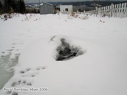 Système d'hivernation antigel bassin extérieur - Winterizing Pond De-Icer System