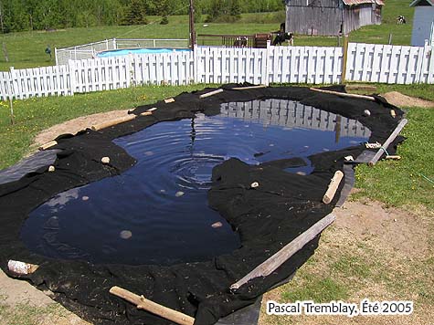 Remplir l'étang - Comment contruire un bassin ou jardin d'eau / Toile géotextile