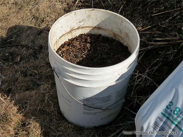 Compost pour jardinage en pot - Faire des Jardinires fleuries
