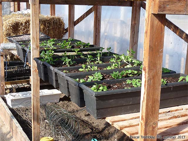 Jardinires pas chers - Comment faire ses Jardinires - Jardinage en pots