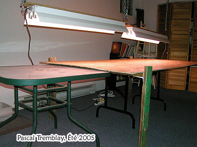 Construction table pour les semis et lampes de culture suspendues - Éclairage culture intérieure