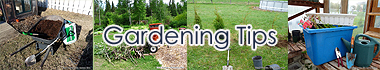 Gardening tips - Gardening Advices - Garden tips