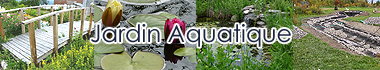 Jardin Aquatique - Jardinage Aquatique - Étang de Jardin