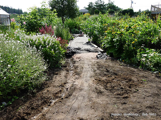 Un chemin dans mon jardin - Courbe dans la conception d'allées de jardin - Jardin anglais