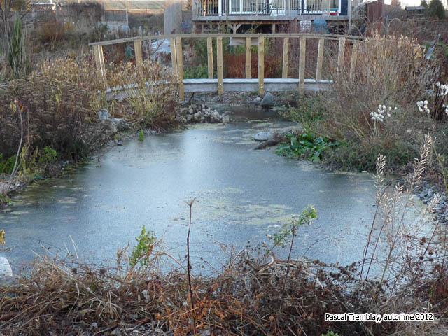 Construction d'un système antigel pour hivernation bassin - Pond De-icer 