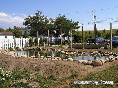 Plan Construire un bassin - Plan d'étang - Plan de Jardin d'eau - Aménagement des berges