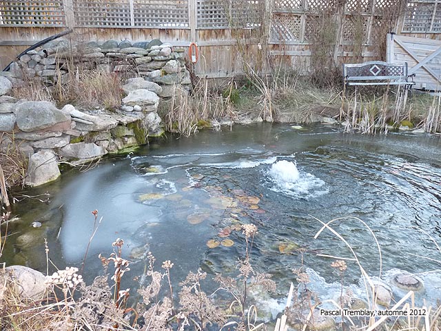 Système antigel pour bassin aquatique - déglaceur pour jardin aquatique - Conserver ses poissons l'hiver au jardin d'eau