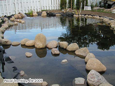 Bassin extérieur / Jardin d'eau / Faites-le vous-même / Aménagement paysager