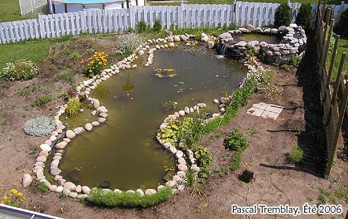 Jardin d'eau / Bassin extrieur / Jardin aquatique / Plan de construction