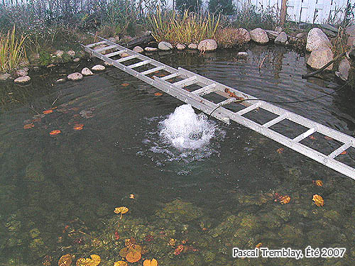 Déglaceur de bassin pas cher, Idée de déglaceur pour étang, système antigel bassin