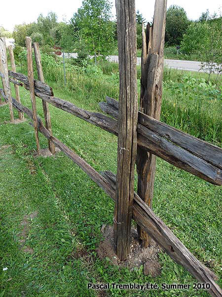 Faire une clôture avec des perches - Perches à vendre - clôture en perches - clôture rustique