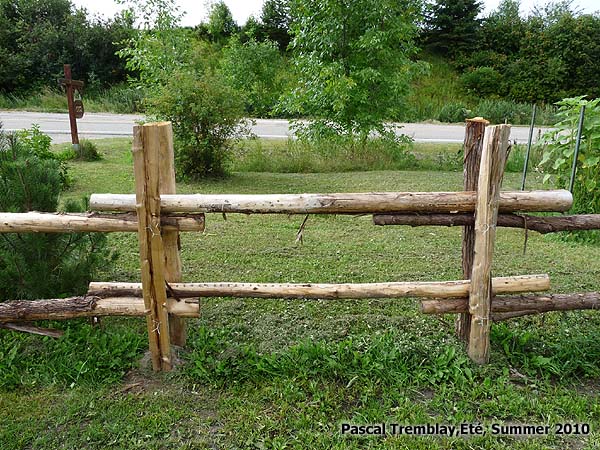 Section de clôture en bois - Clôture en perches de cèdre