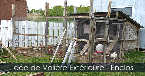 Installer une volière extérieure autour d'un poulailler - Comment construire une volière pour oiseaux - Volière pour volailles