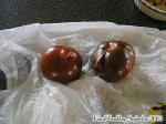 Tomates du jardin