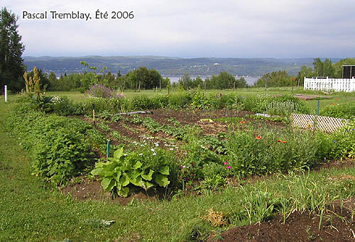 potager vegetable garden