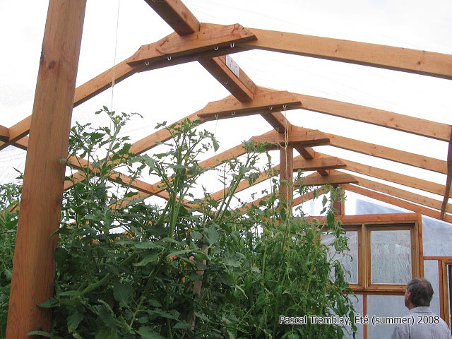 Serre fabrication maison / Structure de la serre en bois / Tomates de serre