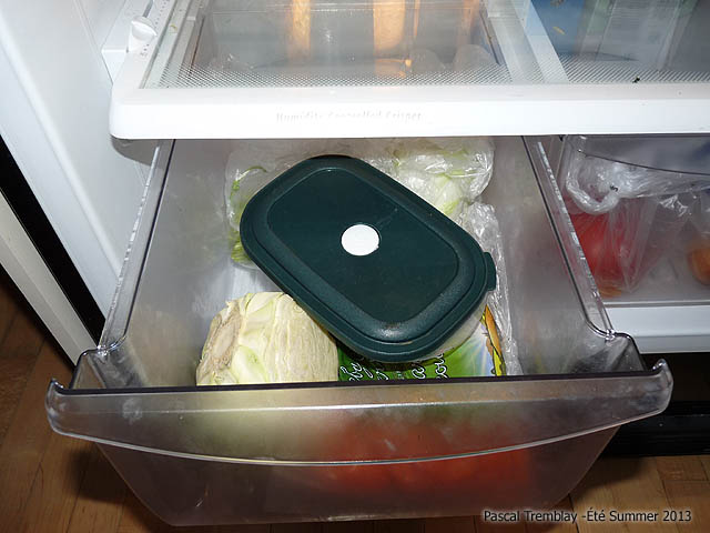 Stratification à froid - Stratification simple - Vernalisation - Mettre les semences au réfrigérateur