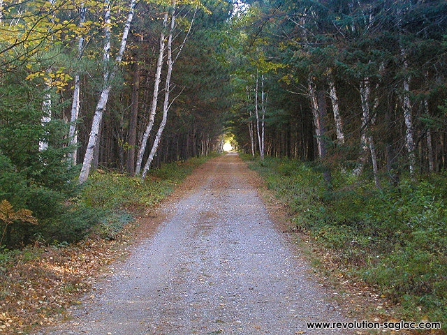 Sentier pédestre Lac Saint-Jean