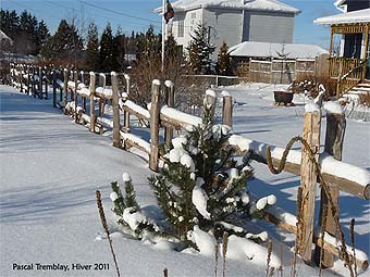 Country fence - Build Country fence