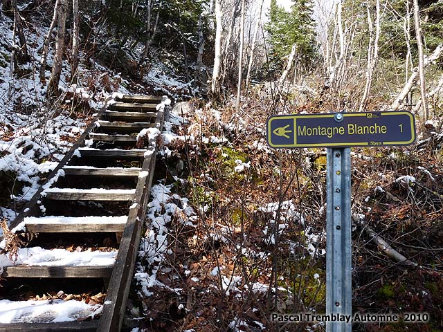 Guide de randonnée du Sentier de La Montagne Blanche à L'Anse-Saint-Jean au Québec