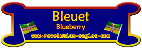 Bleuet, bleuets, blueberry, blueberries, Lac Saint-Jean, Saguenay, tarte aux bleuets