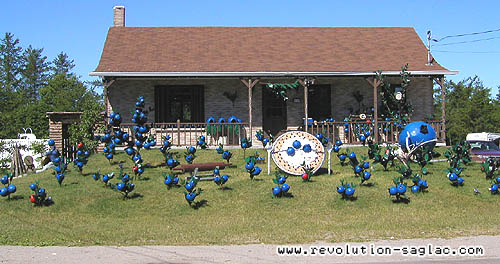 Vloroute des bleuets Dolbeau-Mistassini, maison bleuets