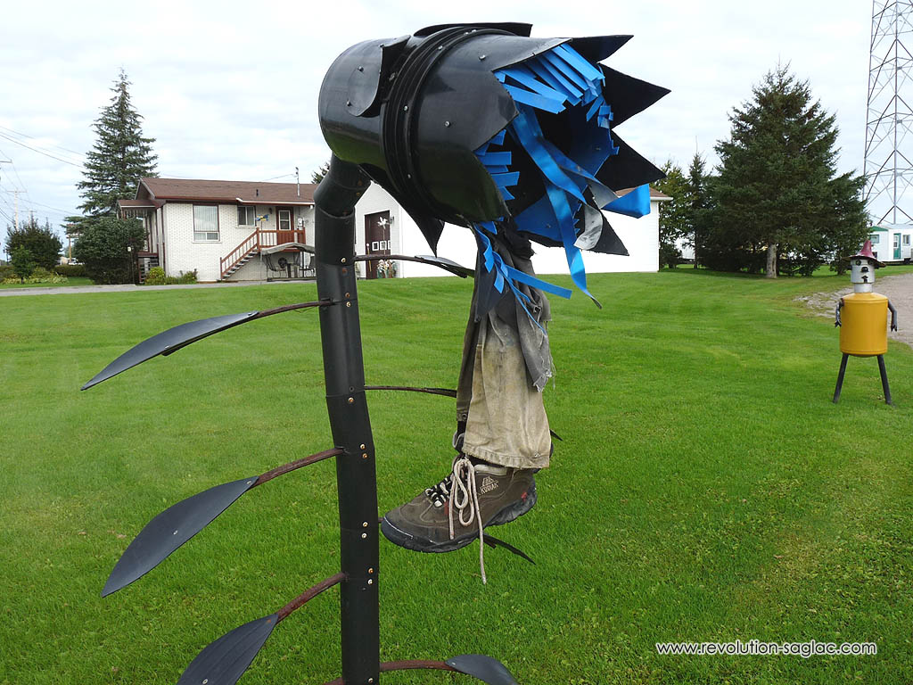 Metal Carnivorous Plant from La Baie - Saguenay-Lac-Saint-Jean Riddles